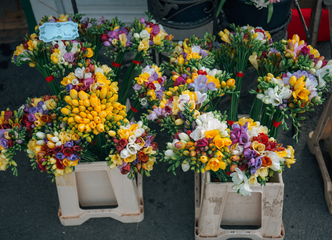 Item pexels photo 53898