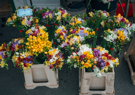 Tile item pexels photo 53898