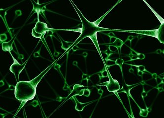 Item thumb 1920 426268