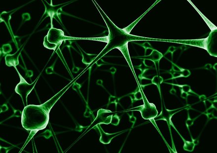 Tile item thumb 1920 426268